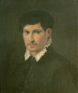 Ritratto di un giovane uomo, c.1540